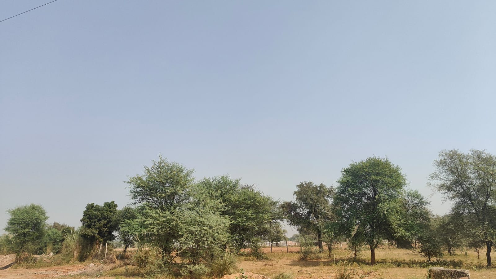 1251 square meter, JDA, North South, Commercial plot is available for sale at Ring Road