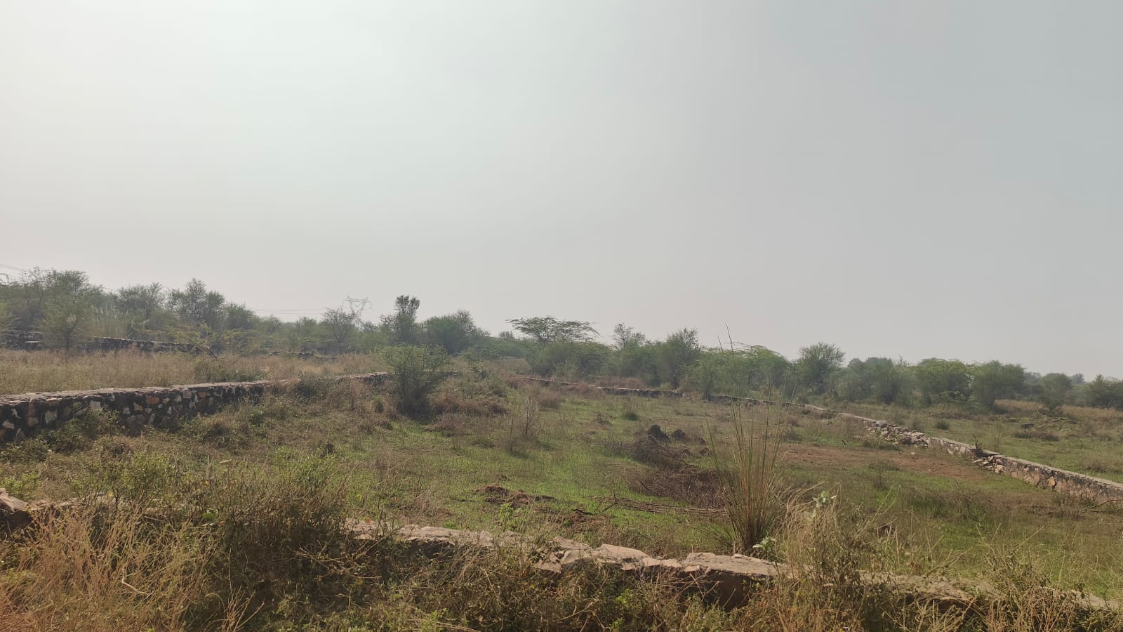 200 square yard, JDA, East, Residential plot is available for sale at Jagatpura