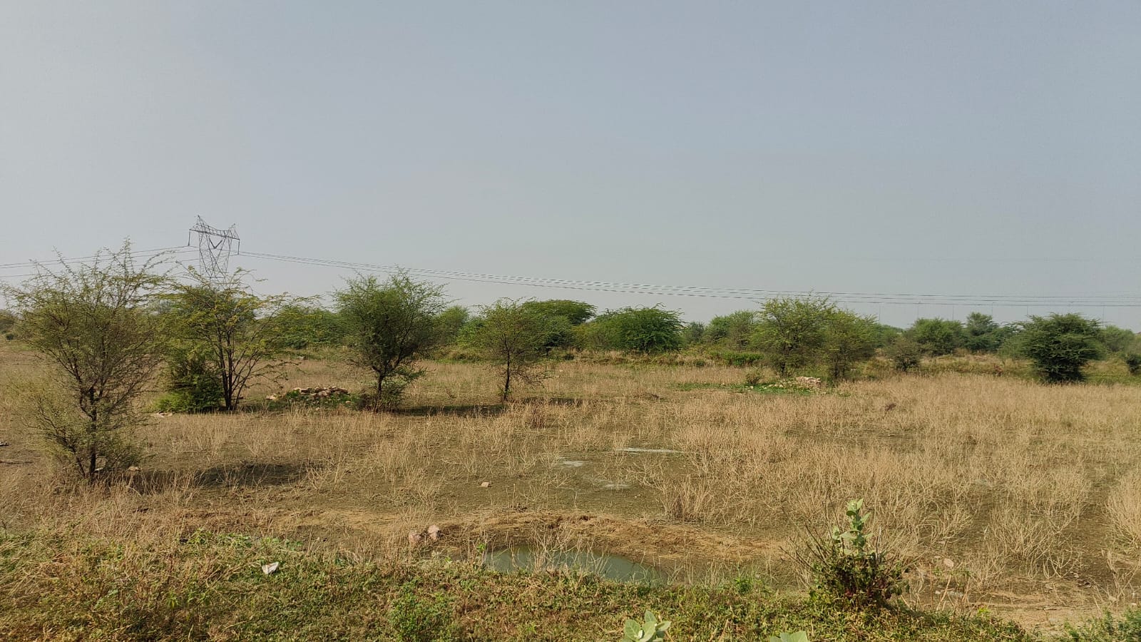 200 square yard, JDA, West, Residential plot is available for sale at Jagatpura