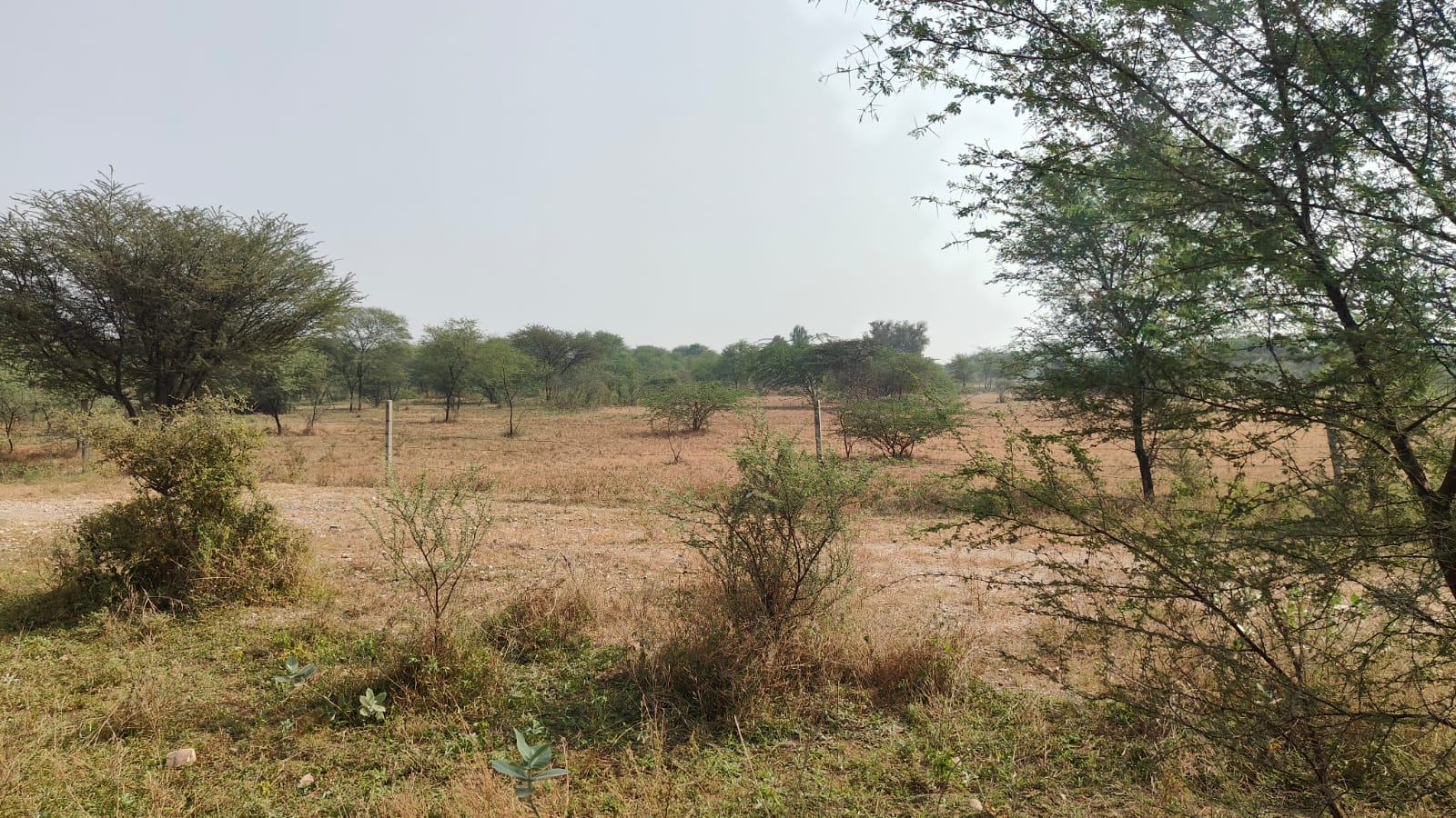 200 square yard, JDA, West, Residential plot is available for sale at Jagatpura
