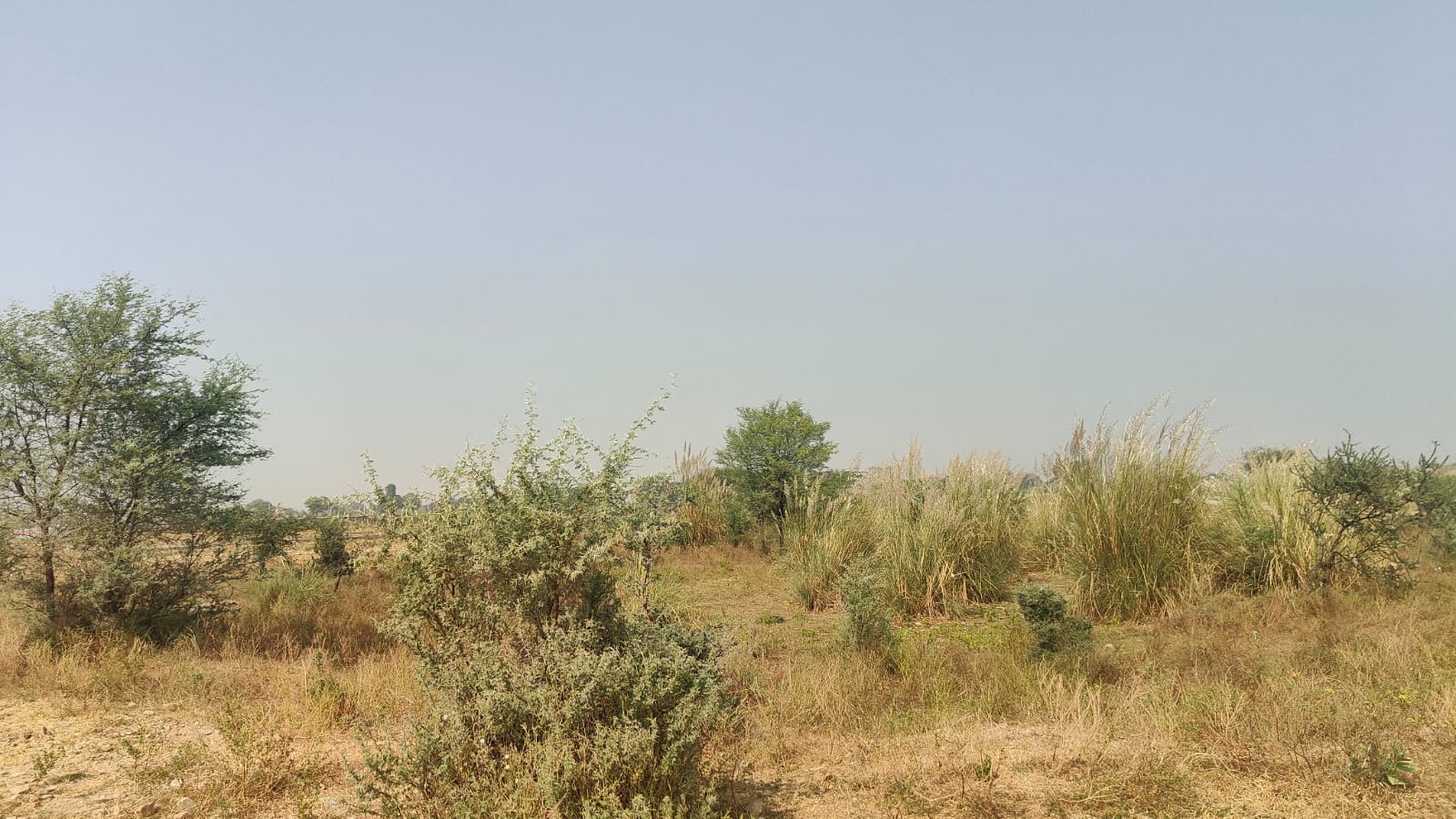 143 square yard, RHB, South, Commercial plot is available for sale at Pratap Nagar