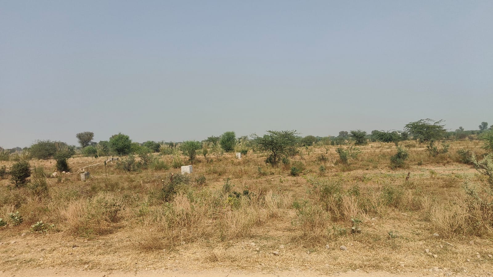 500 square yard, JDA, West, Residential plot is available for sale at Jagatpura