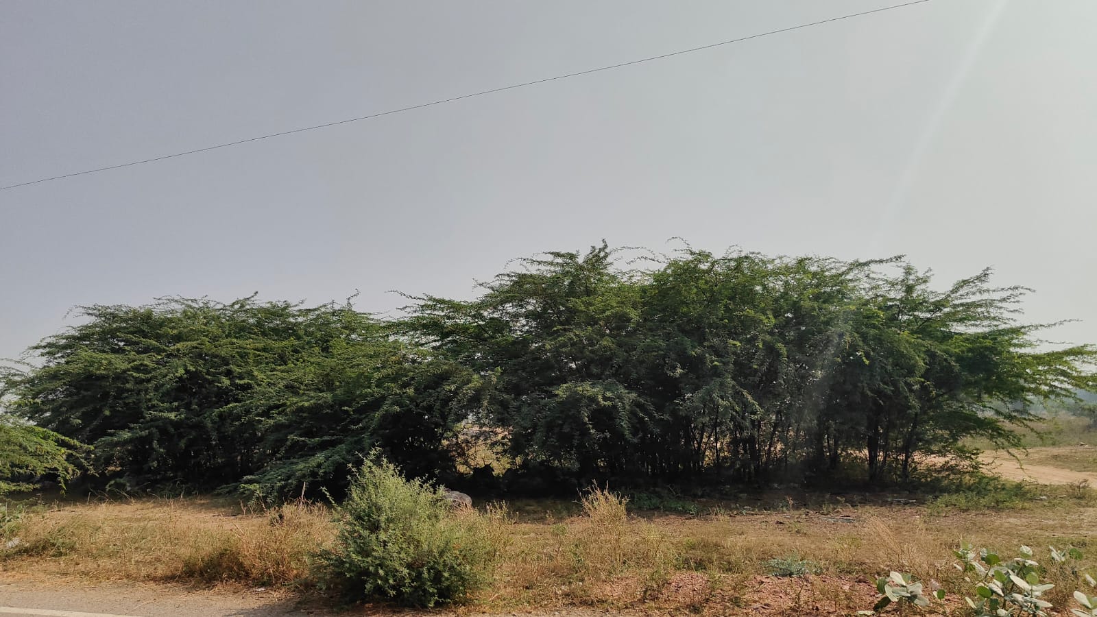 139 square yard, JDA, North East, Residential plot is available for sale at Jagatpura