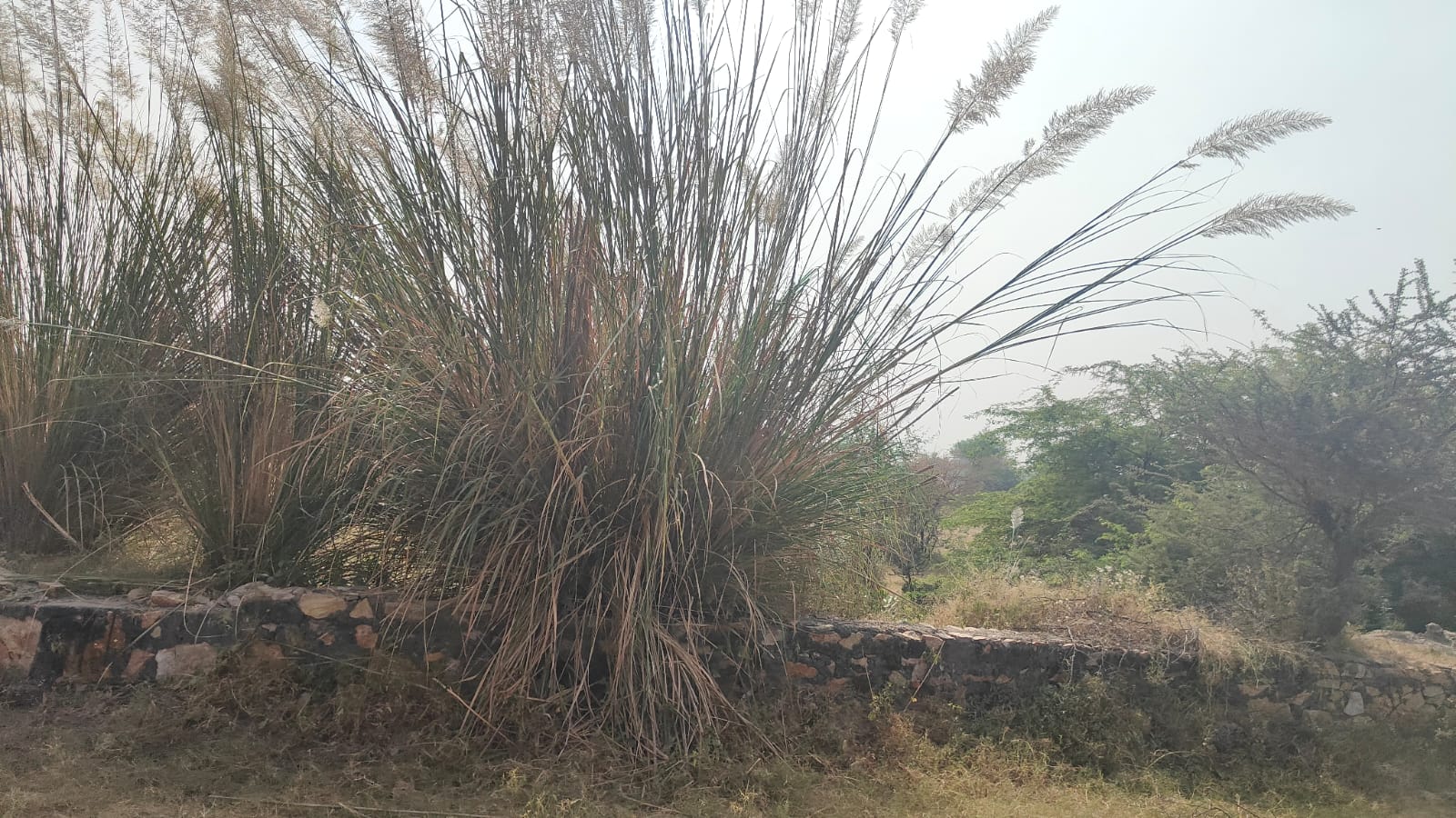 200 square yard, JDA, North, Residential plot is available for sale at Jagatpura