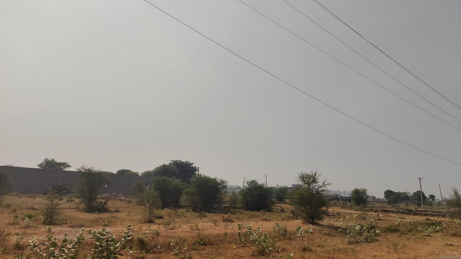600 square yard, JDA, East, Commercial plot is available for sale at Goner