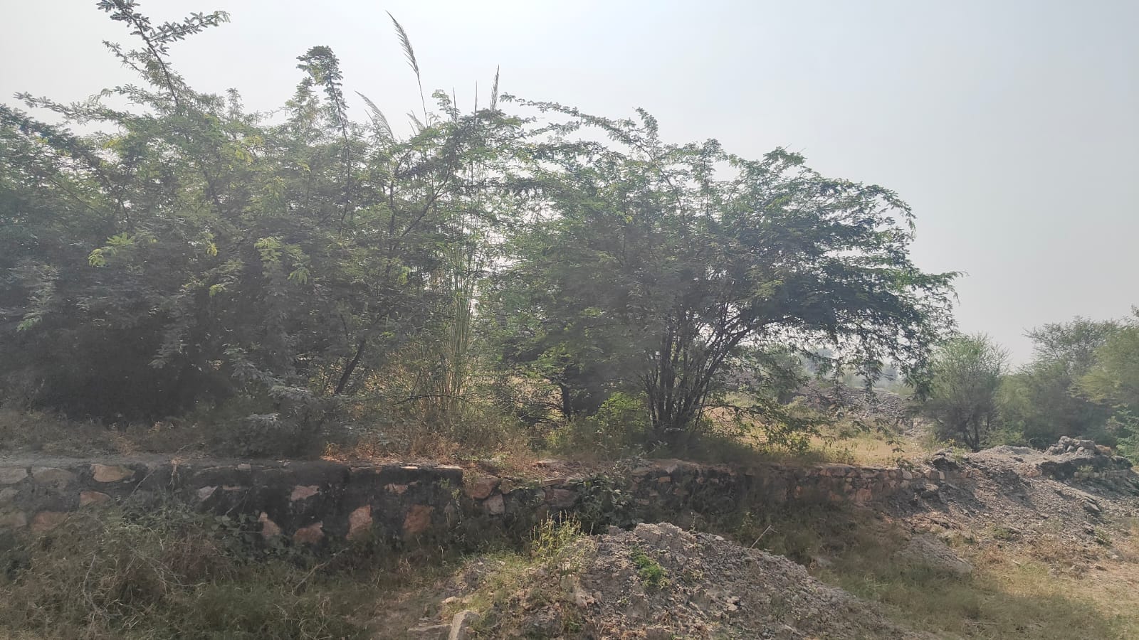 355 square yard, JDA, South, Commercial plot is available for sale at Jagatpura