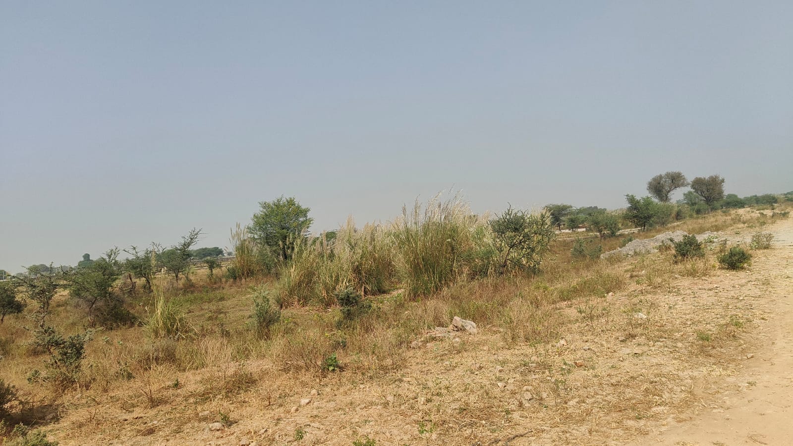 627 square meter, JDA, East West, Commercial plot is available for sale at Ring Road