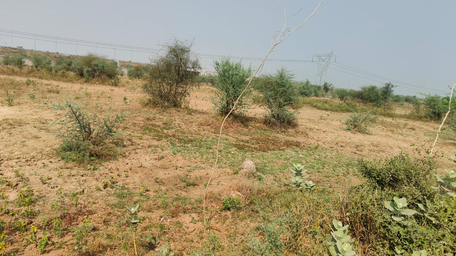 313 square meter, JDA, South, Residential plot is available for sale at Ring Road — photo 1