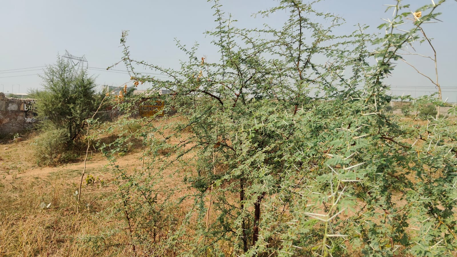 313 square meter, JDA, South, Commercial plot is available for sale at Ring Road