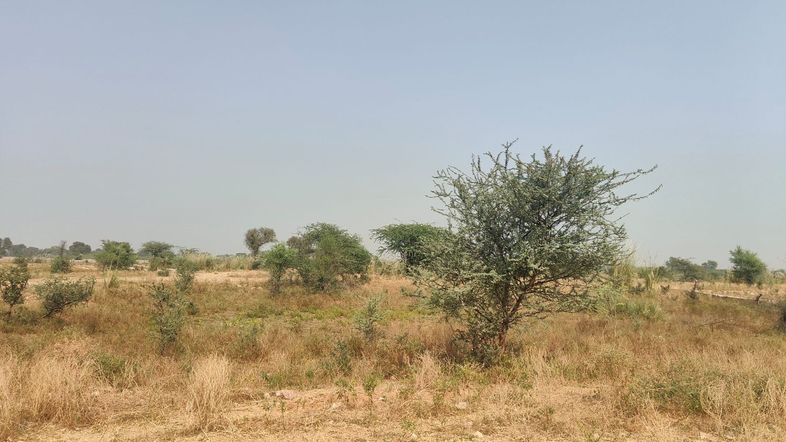 400 square yard, JDA, West, Commercial plot is available for sale at Jagatpura