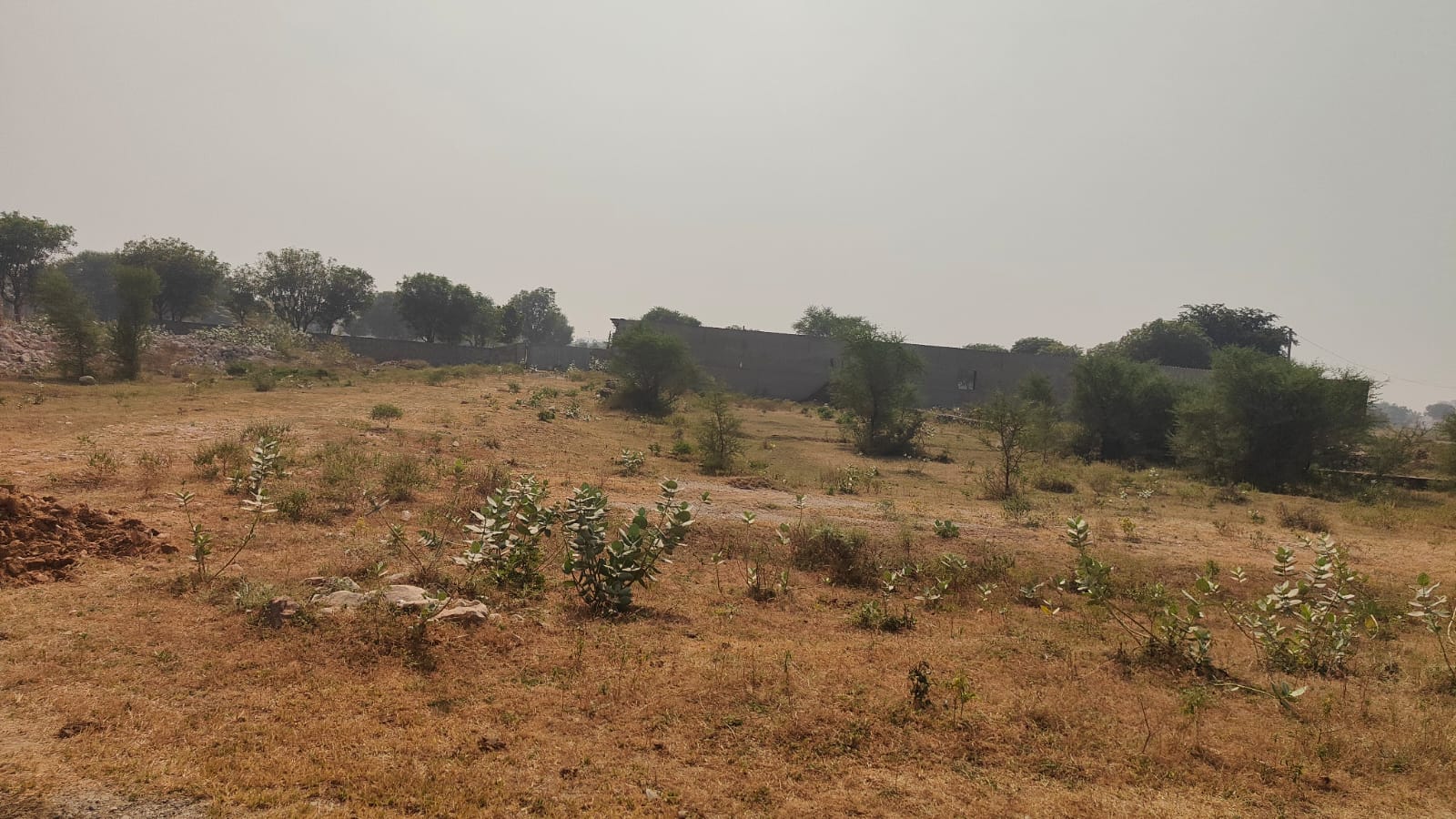 266 square yard, JDA, South, Residential plot is available for sale at Jagatpura