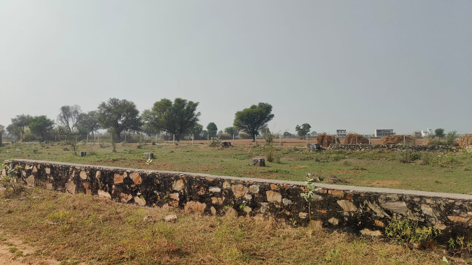350 square yard, JDA, West, Residential plot is available for sale at Jagatpura