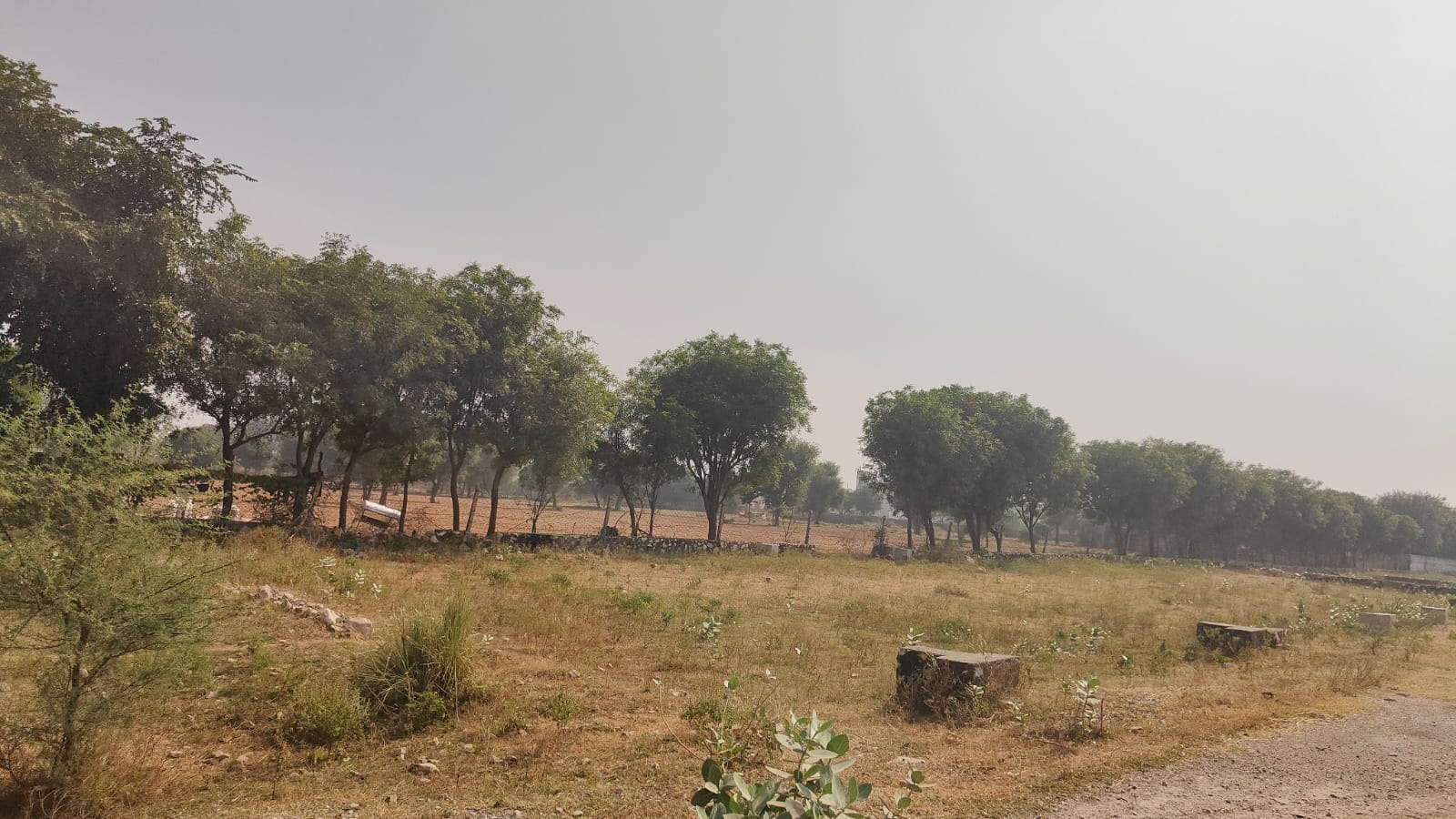 1250 square meter, JDA, East West, Commercial plot is available for sale at Ring Road