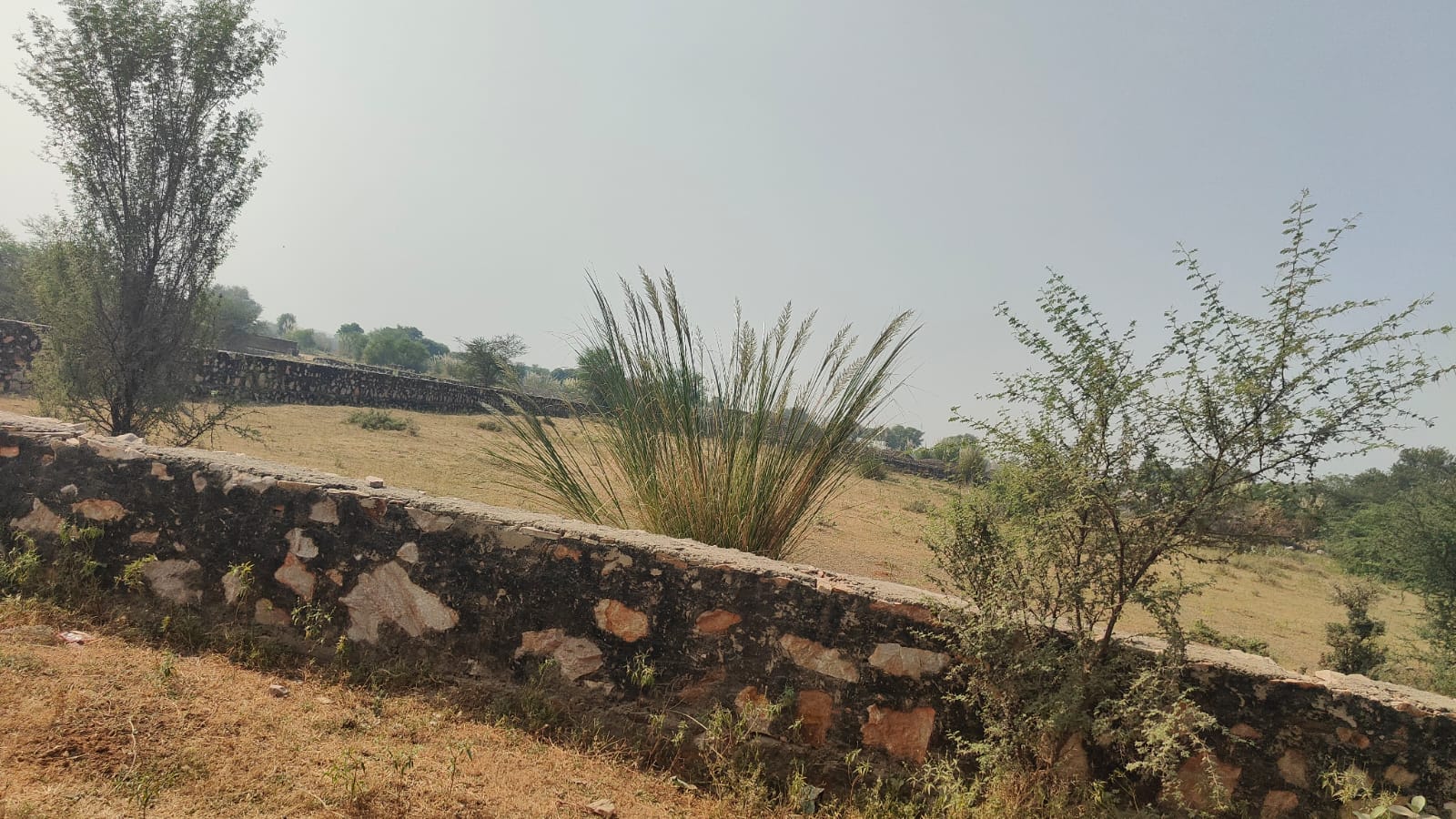 311 square yard, JDA, North, Residential plot is available for sale at Jagatpura