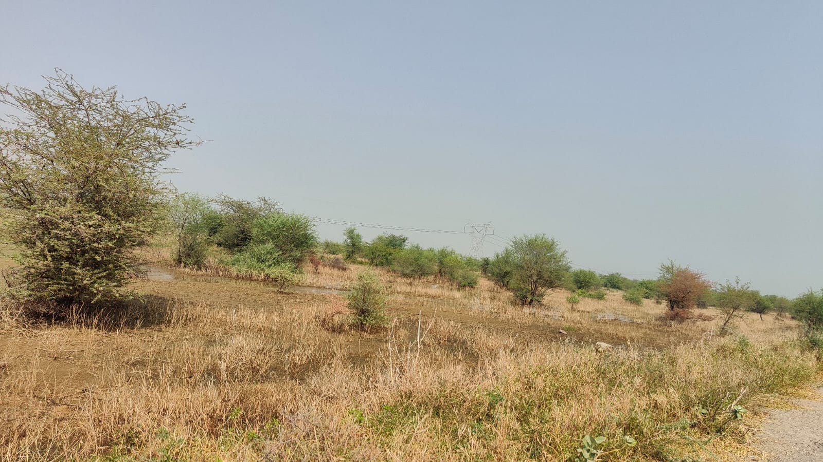 111 square yard, JDA, East, Residential plot is available for sale at Jagatpura