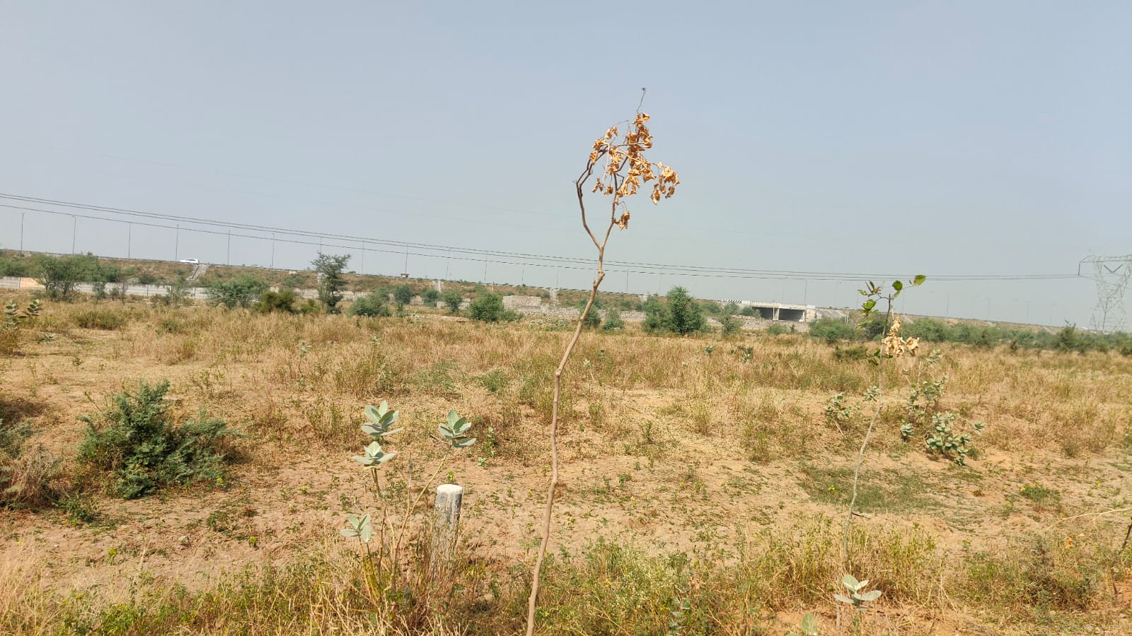 313 square meter, JDA, South, Commercial plot is available for sale at Ring Road