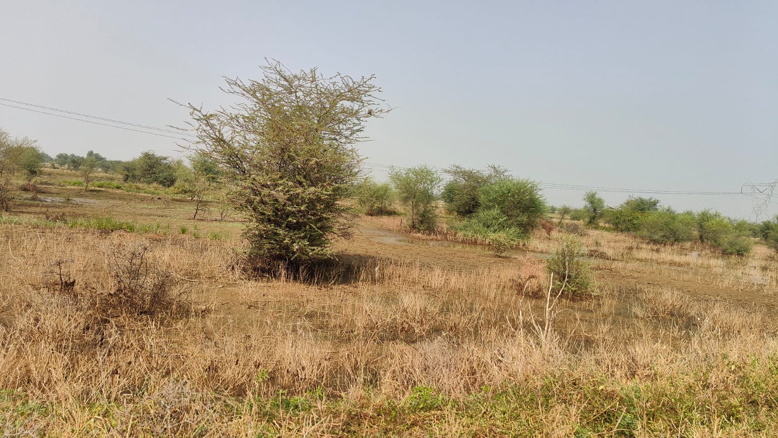 100 square yard, JDA, East, Residential plot is available for sale at Jagatpura